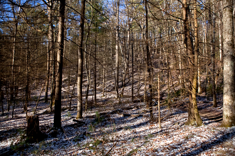 Rich Mountain Loop Trail in the winter - Cades Cove in the Smoky Mountains