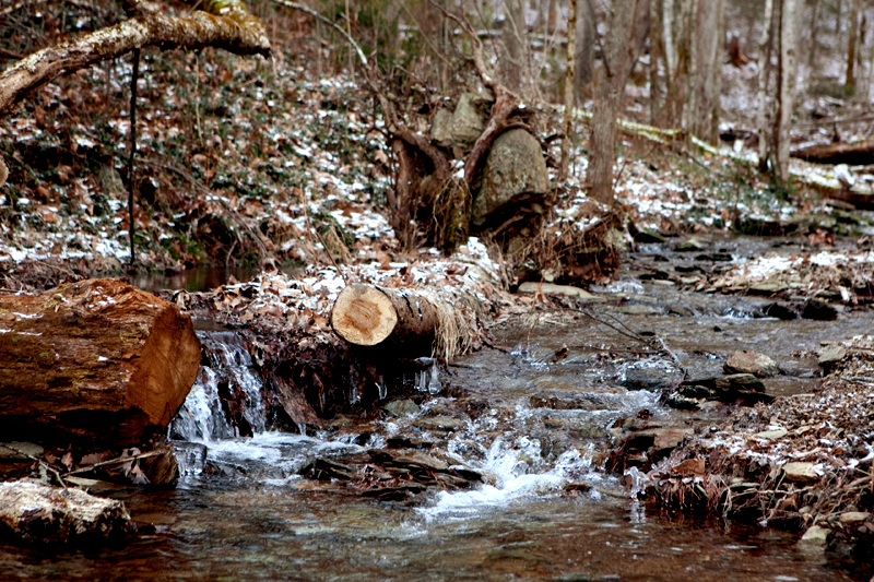 Rich Mountain Loop Trail in the winter - Cades Cove in the Smoky Mountains