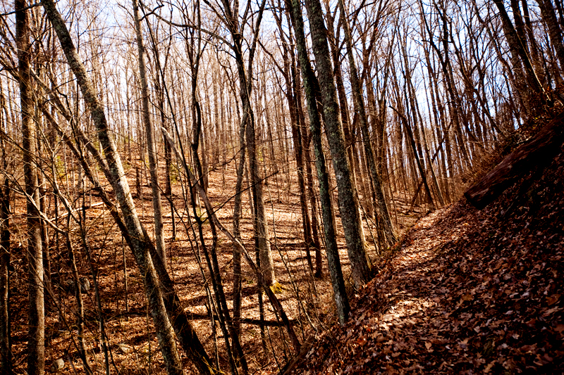 Lumber Ridge Trail Hike Smoky Mountains