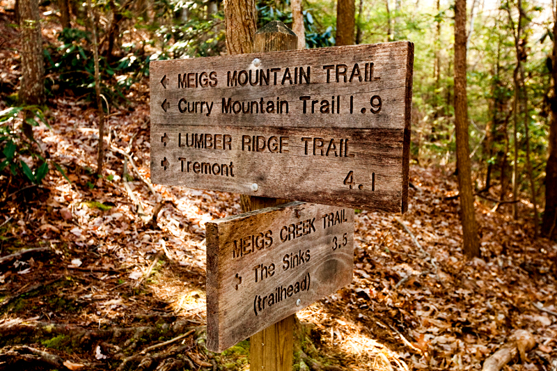 Lumber Ridge Trail Hike Smoky Mountains