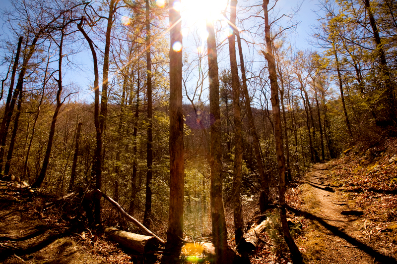 Lumber Ridge Trail Hike Smoky Mountains