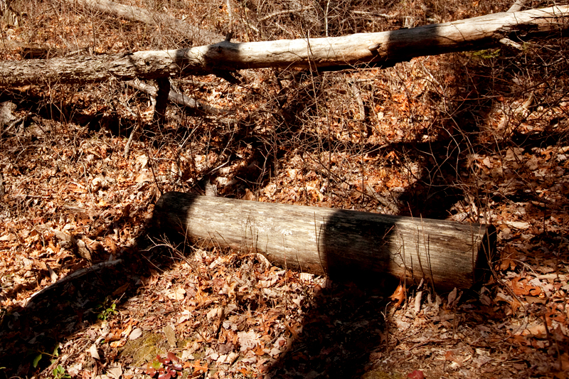 Lumber Ridge Trail Hike Smoky Mountains