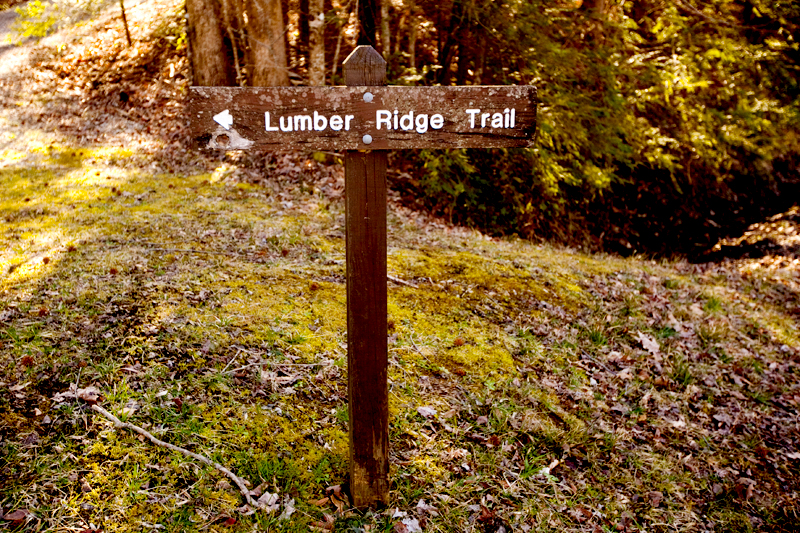 Lumber Ridge Trail Hike Smoky Mountains
