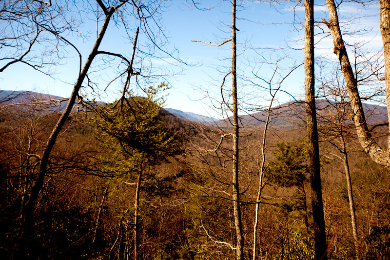 Lumber Ridge Trail Hike Smoky Mountains