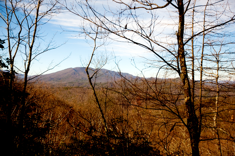 Lumber Ridge Trail Hike Smoky Mountains