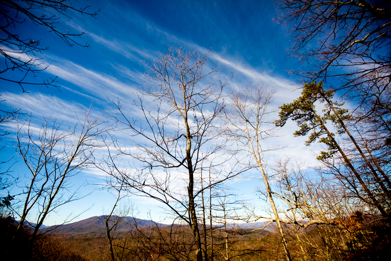 Lumber Ridge Trail Hike Smoky Mountains