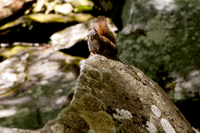 Hike to Rainbow Falls