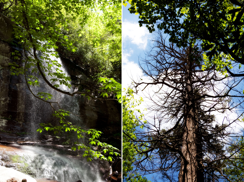 Hike to Rainbow Falls