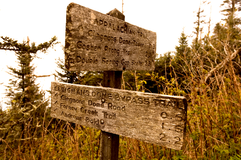 Smoky Mountains Hike to Siler's Bald