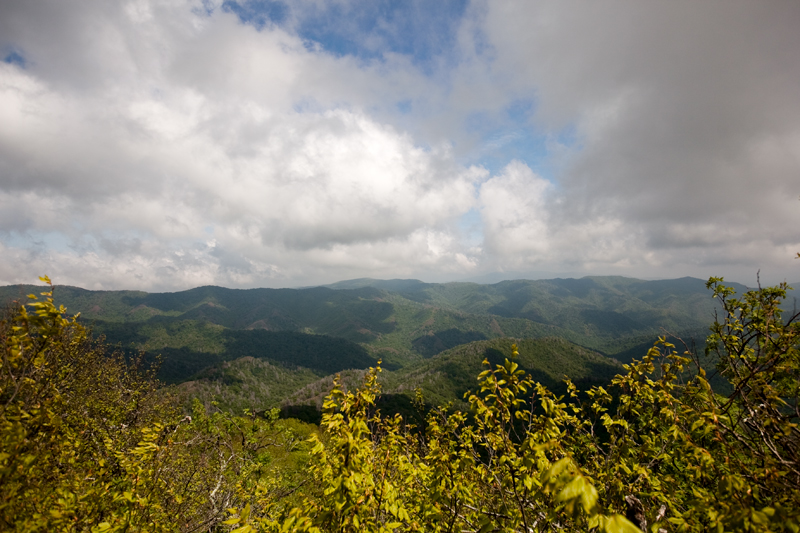 Smoky Mountains Hike to Siler's Bald