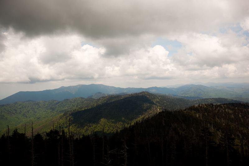 Smoky Mountains Hike to Siler's Bald