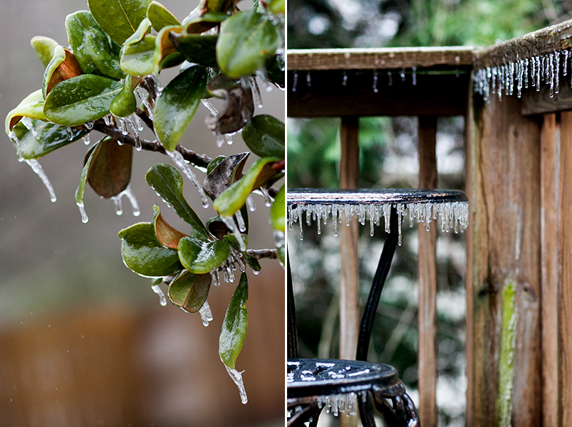 Knoxville Tennessee Ice Storm January 2013