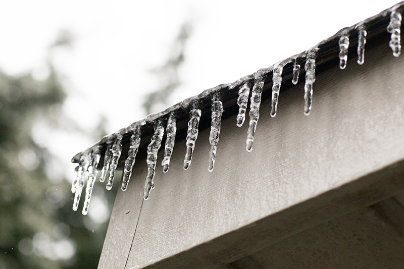 Knoxville Tennessee Ice Storm January 2013