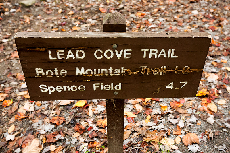 hike to spence field and rocky top in the smoky mountains