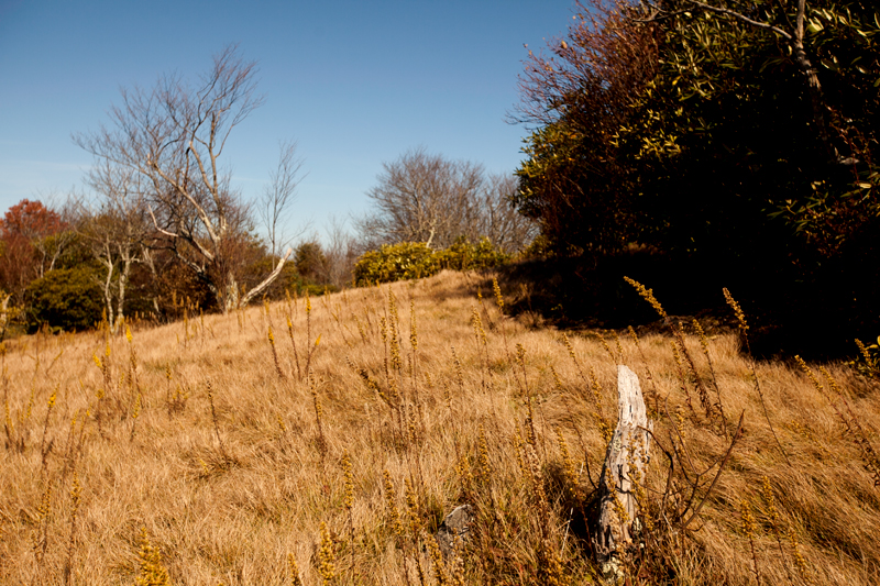 hike to spence field and rocky top in the smoky mountains