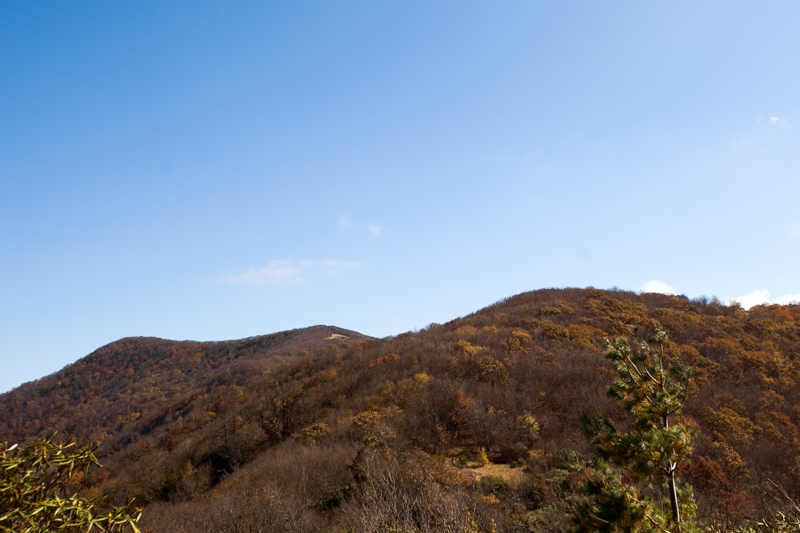 hike to spence field and rocky top in the smoky mountains