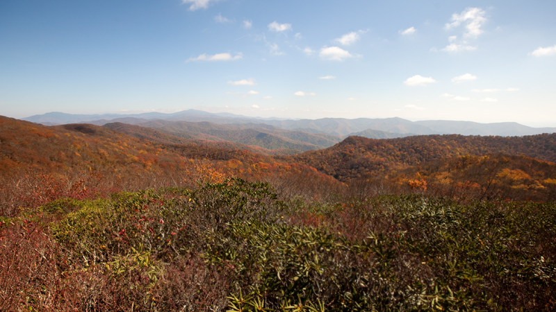 hike to spence field and rocky top in the smoky mountains