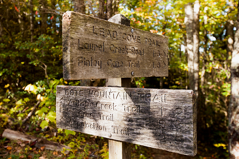 hike to spence field and rocky top in the smoky mountains