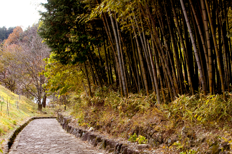 kiso valley nakasendo koyo fall colors