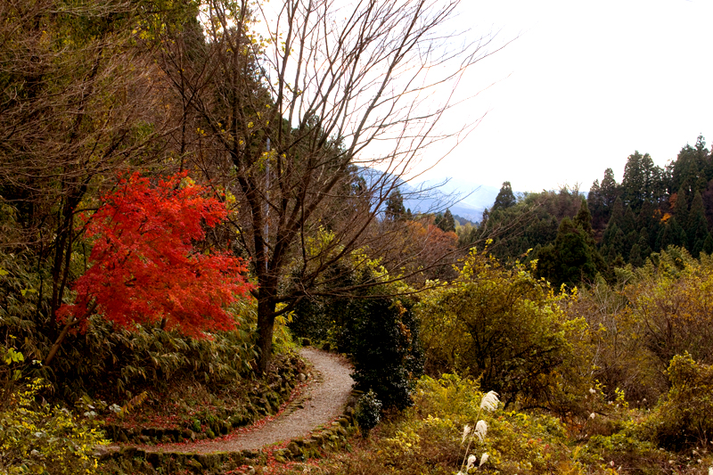 kiso valley nakasendo