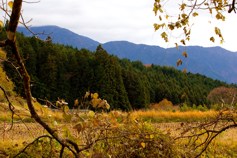 kiso valley nakasendo