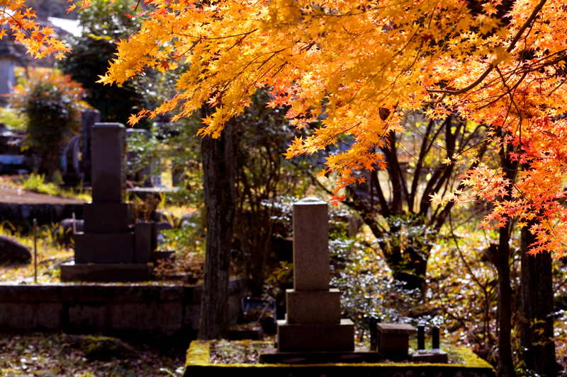 kiso valley nakasendo koyo fall colors