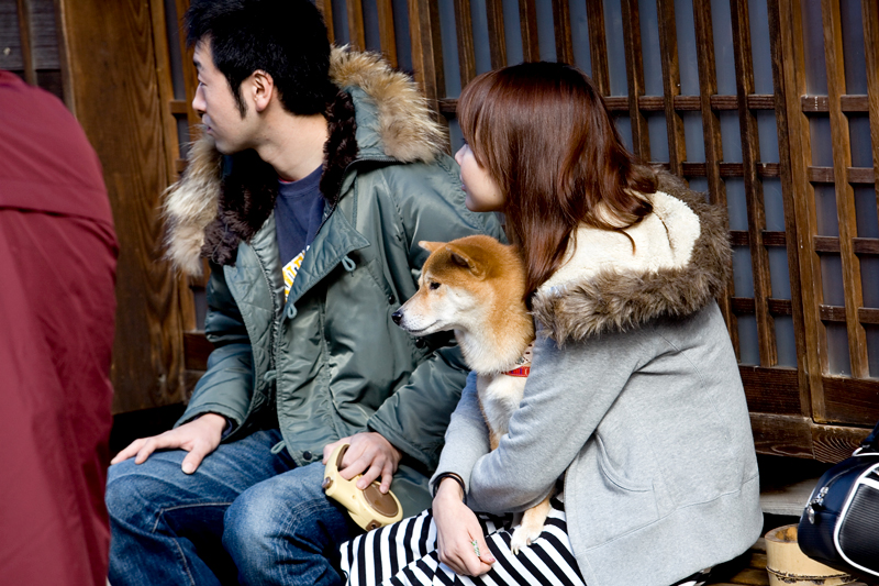 kiso valley tsumago dog