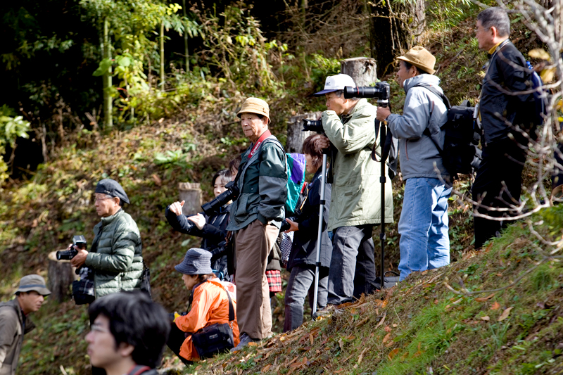 kiso valley tsumago fall festival