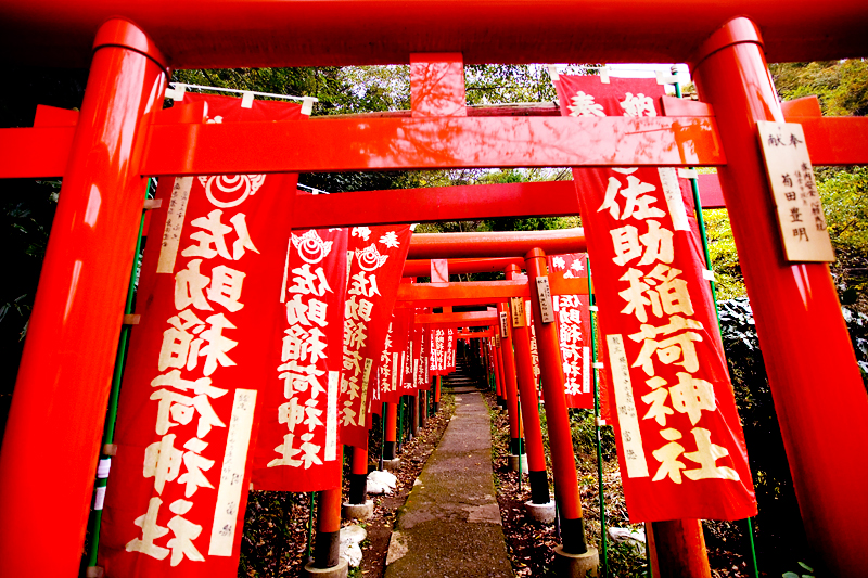 kamakura sasuke inari shrine