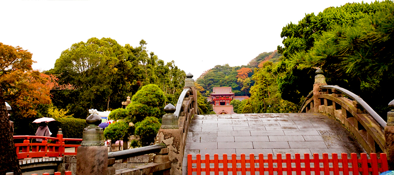 kamakura tsurugaoka hachimangu