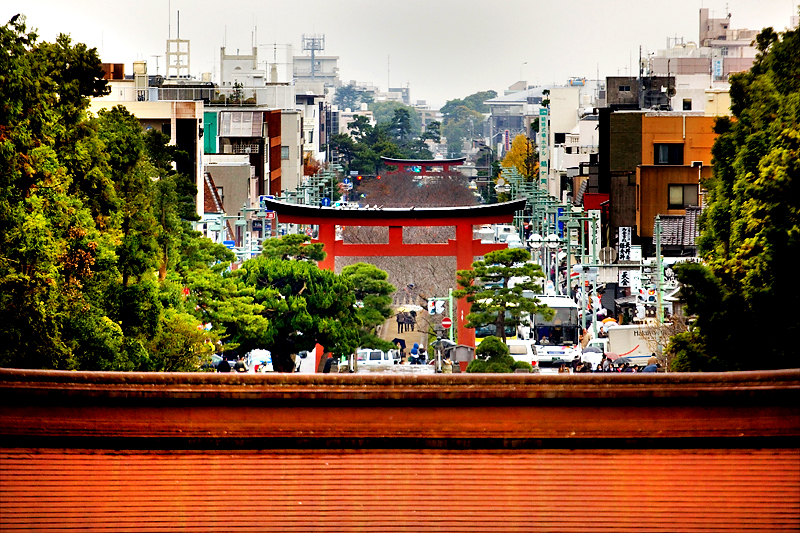 kamakura tsurugaoka hachimangu approach