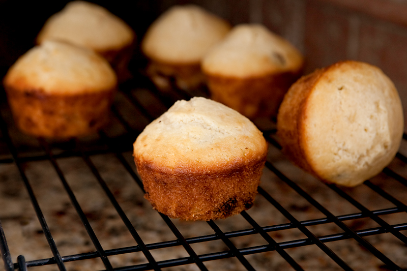 Chocolate chip muffins with crystallized ginger