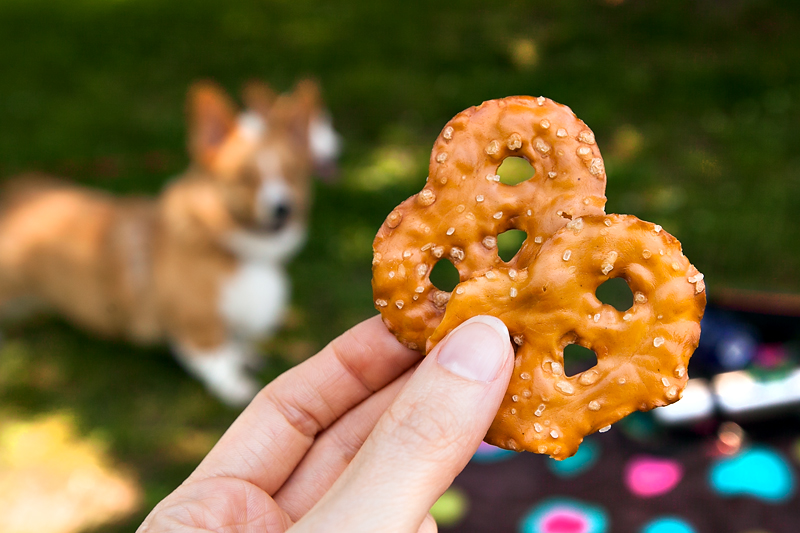 salty pretzel crisps