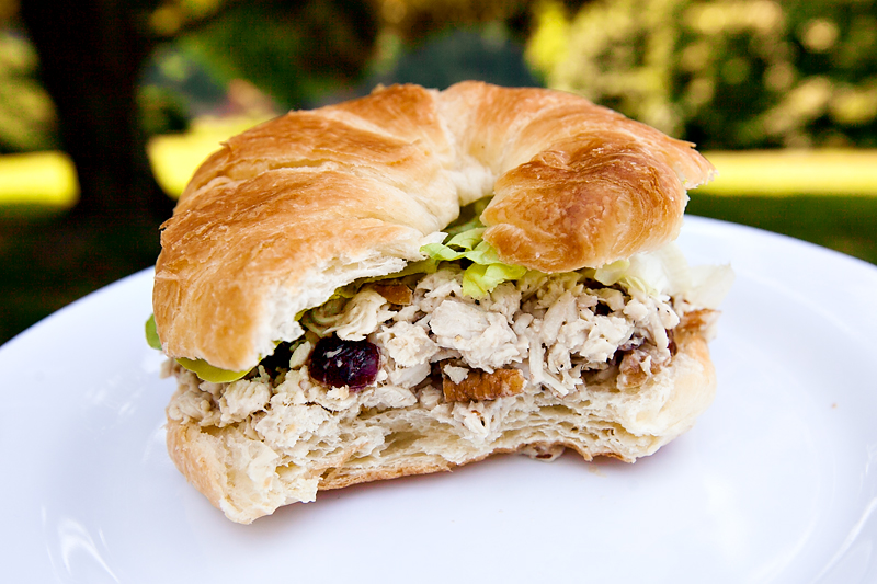 croissant with honey pecan cranberry chicken salad