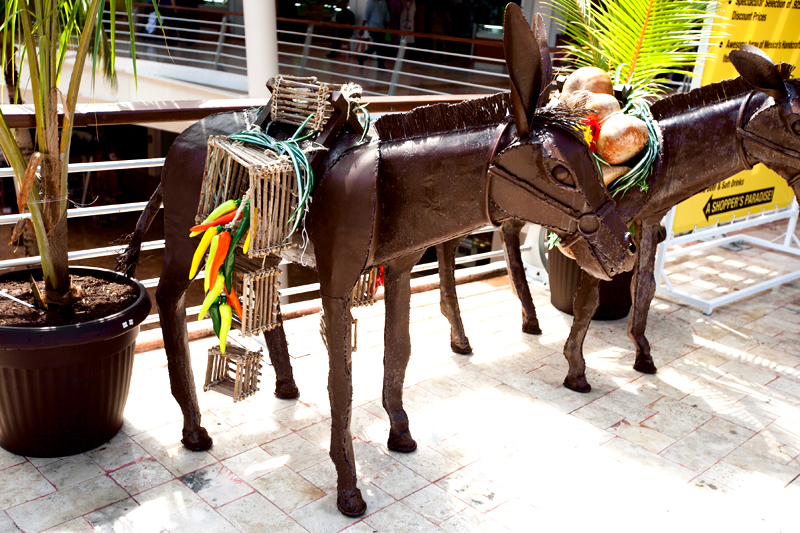 donkeys and chili peppers in cozumel