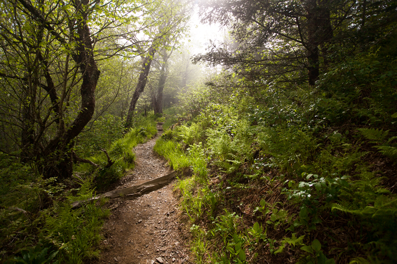 smoky-mountain-hiking-trails-charlies-bunion-07