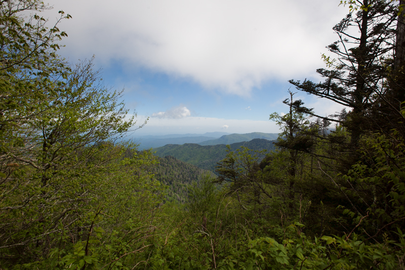 smoky-mountain-hiking-trails-charlies-bunion-19