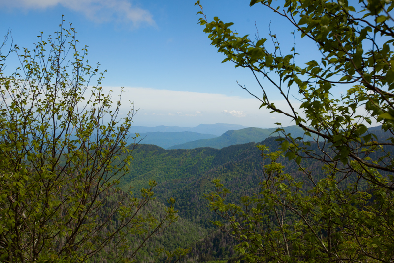 smoky-mountain-hiking-trails-charlies-bunion-22