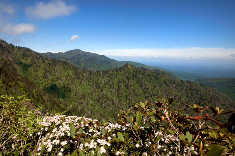 smoky-mountain-hiking-trails-charlies-bunion-29