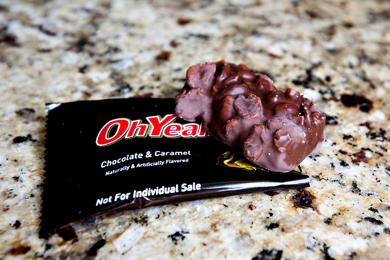 review-of-oh-yeah-chocolate-caramel-protein-bars-01