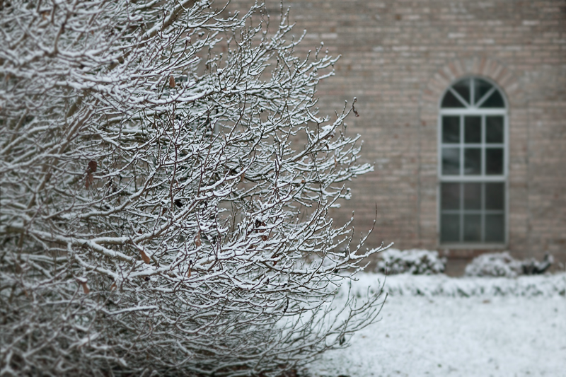 knoxville-tennessee-first-snow-2013-09