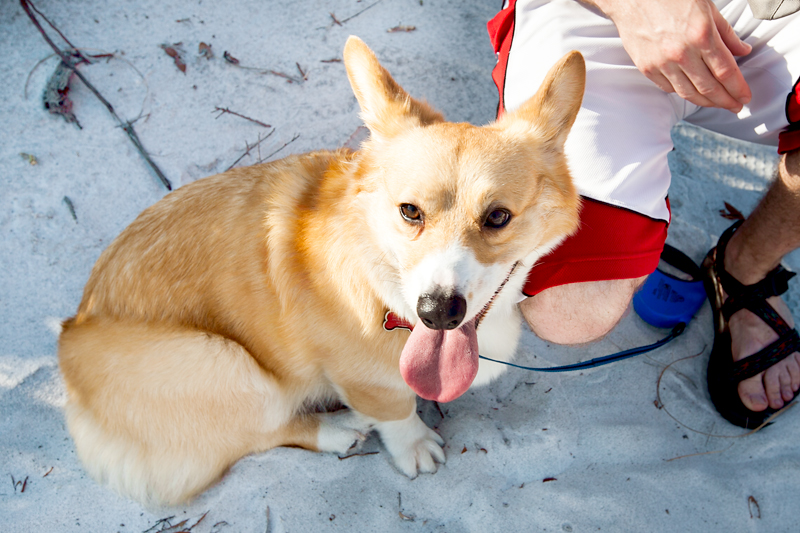dog-friendly-hiking-in-florida-grayton-beach-08