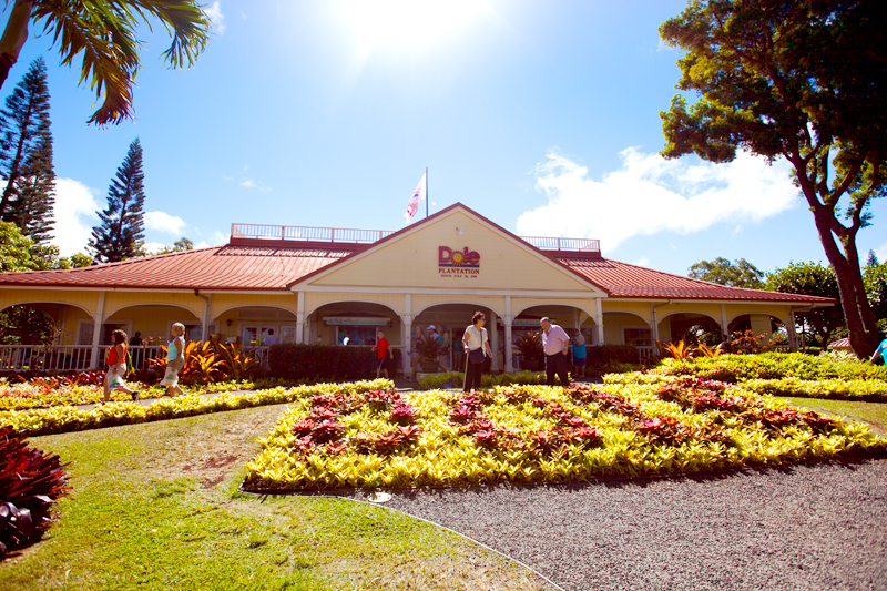 front view of dole plantation