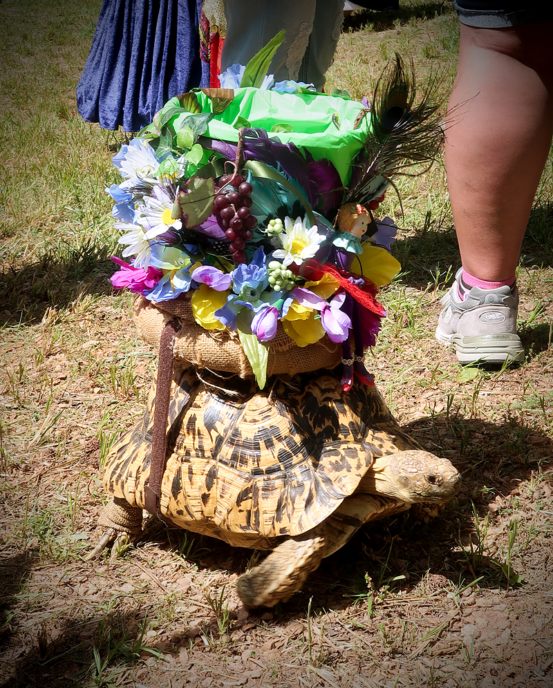 georgia-renaissance-festival-review-29