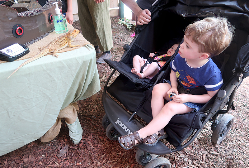 georgia-renaissance-festival-review-31