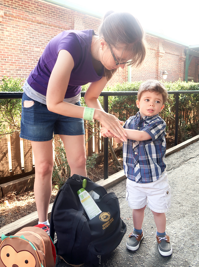 What To Do At Stone Mountain Park review - our day at the park with our toddler and baby riding the train, seeing the dinosaurs, and enjoying the sunshine.