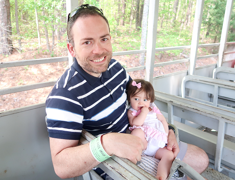 What To Do At Stone Mountain Park review - our day at the park with our toddler and baby riding the train, seeing the dinosaurs, and enjoying the sunshine.