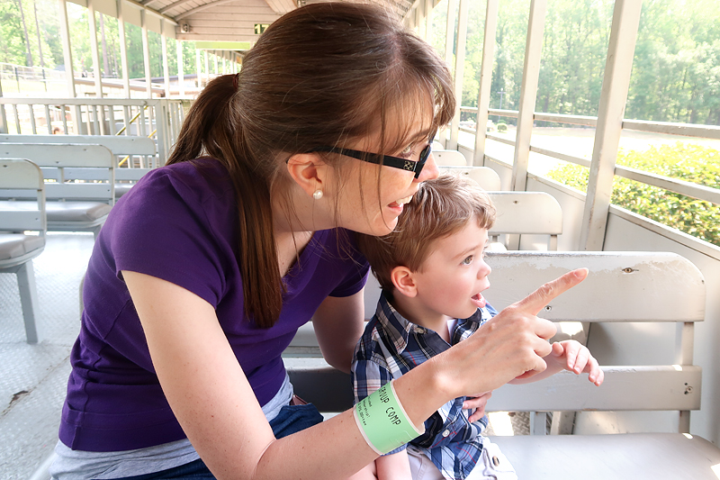 What To Do At Stone Mountain Park review - our day at the park with our toddler and baby riding the train, seeing the dinosaurs, and enjoying the sunshine.