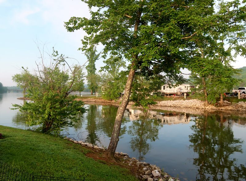 caney-creek-campground-campsite-01