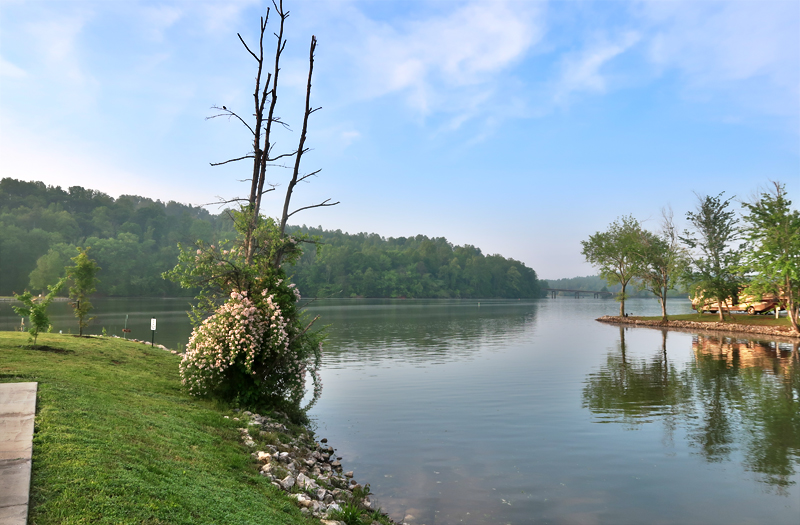 caney-creek-campground-campsite-02